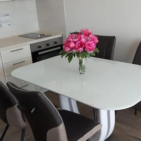 Katarina * زادار